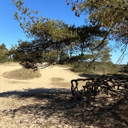 בית נופש Country *