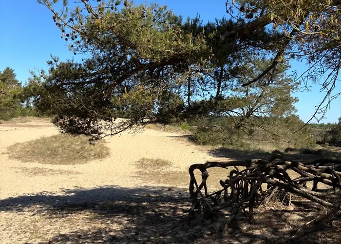 Holiday home Country *